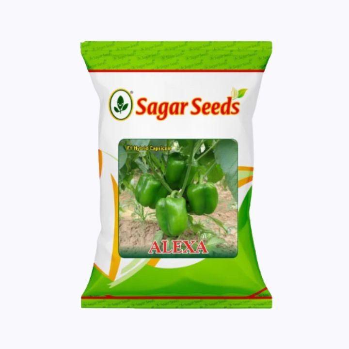 Sagar Alexa F1 Capsicum Seeds