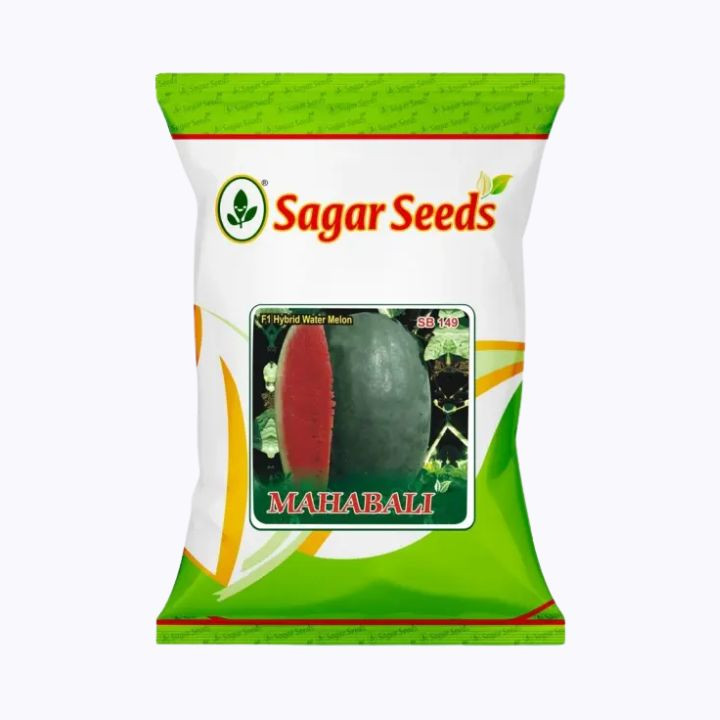 Sagar Mahabali Watermelon Seeds