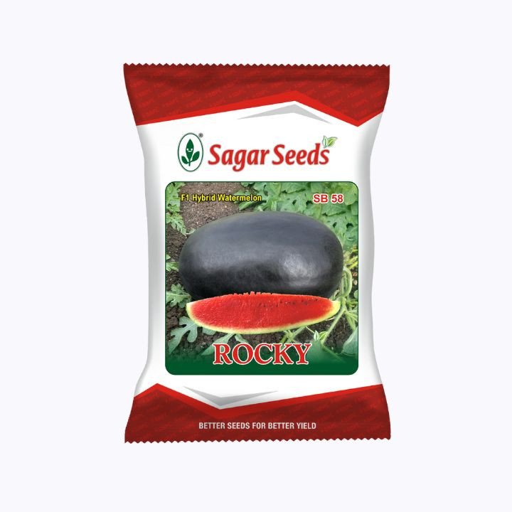 Sagar Rocky F1 Watermelon(50g)