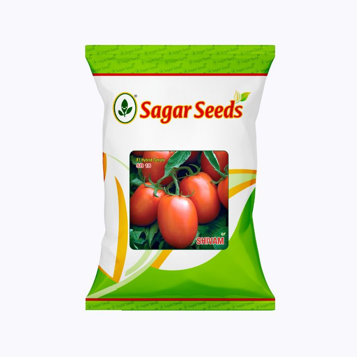 Sagar Shivam F1 Hybrid Tomato Seeds