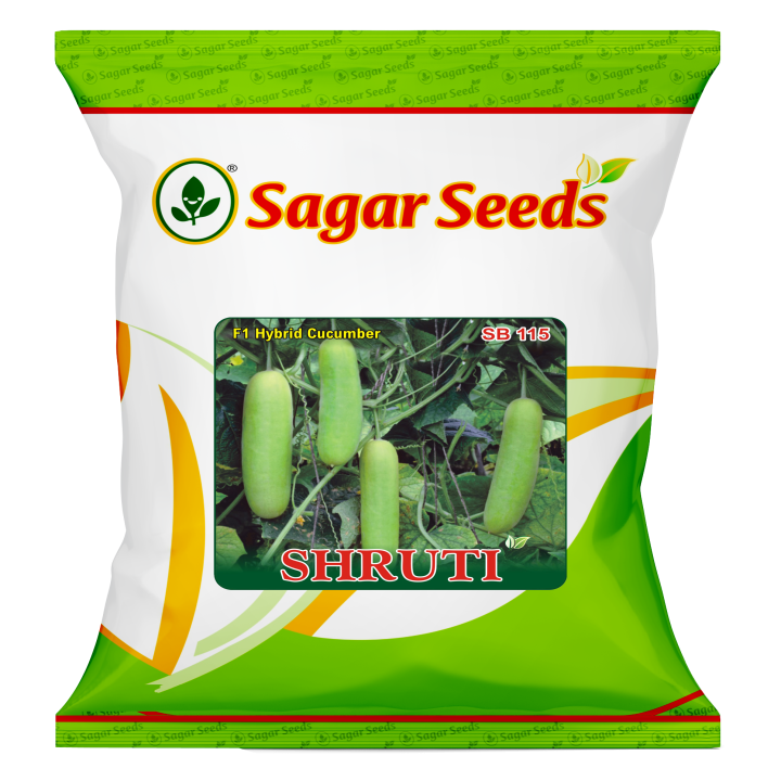 Sagar Shruti Cucumber Seeds