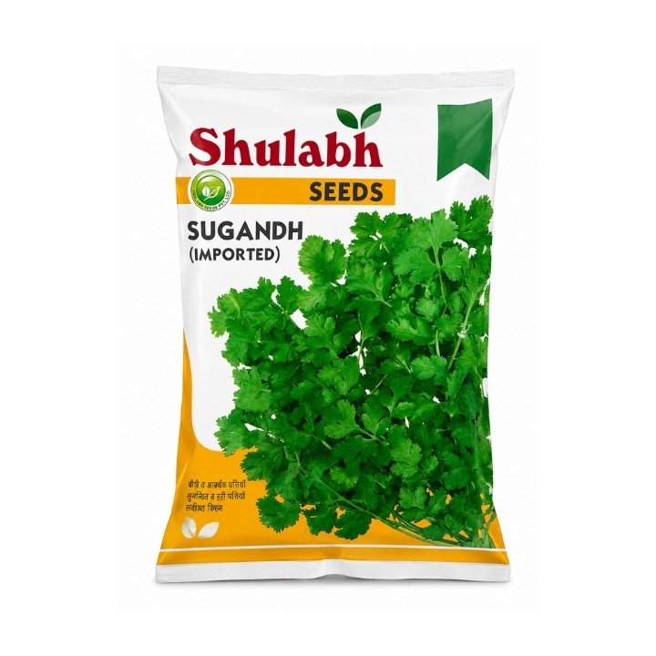 Shulabh Sugandh Imported Coriander Seeds
