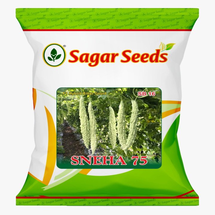 Sagar Sneha-75 Bitter Gourd Seeds