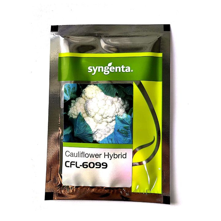 Syngenta CFL 6099 Cauliflower Seeds