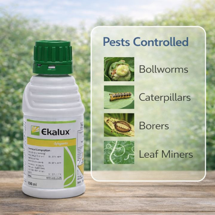 Syngenta Ekalux Insecticide – thumb