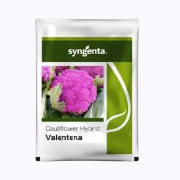 Syngenta Valentena Cauliflower Seeds – main view
