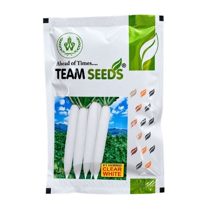 Team Seeds Clear White F1 Hybrid Radish Seeds