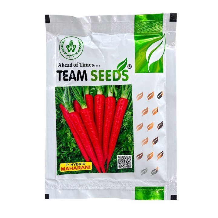 Team Seeds Maharani F1 Hybrid Carrot Seeds
