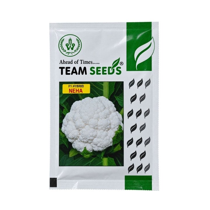 Team Seeds Neha F1 Hybrid Cauliflower Seeds