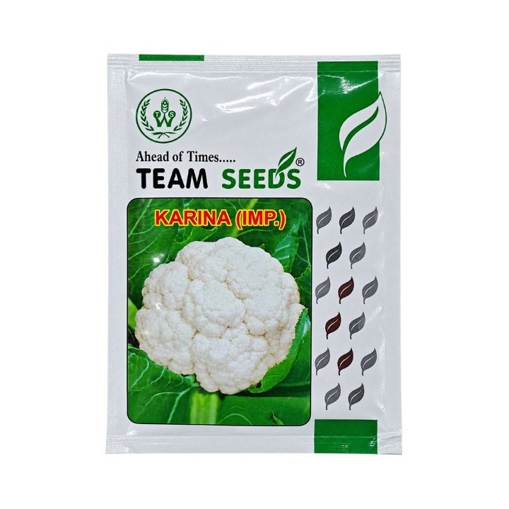 Team Seeds Karina (IMP.) Cauliflower Seeds