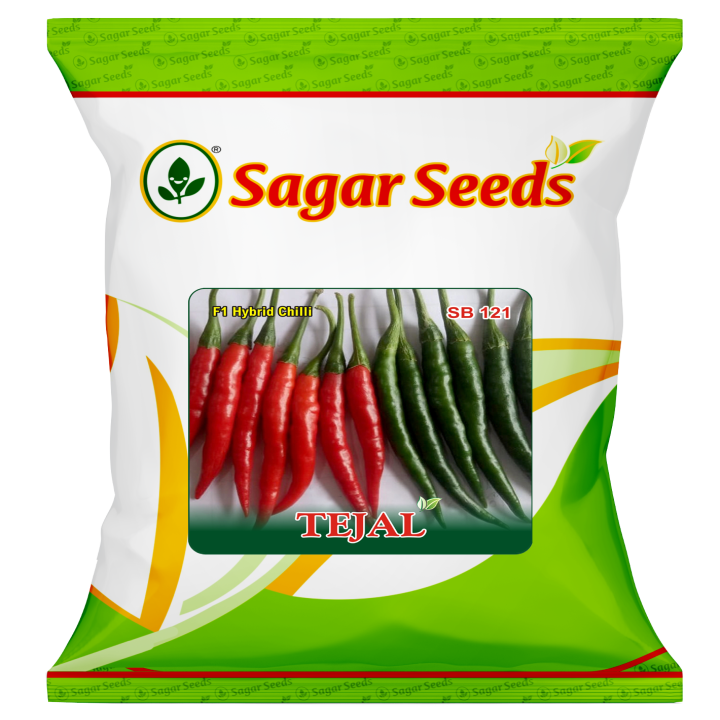 Sagar Tejal Chilli (Mirchi) Seeds