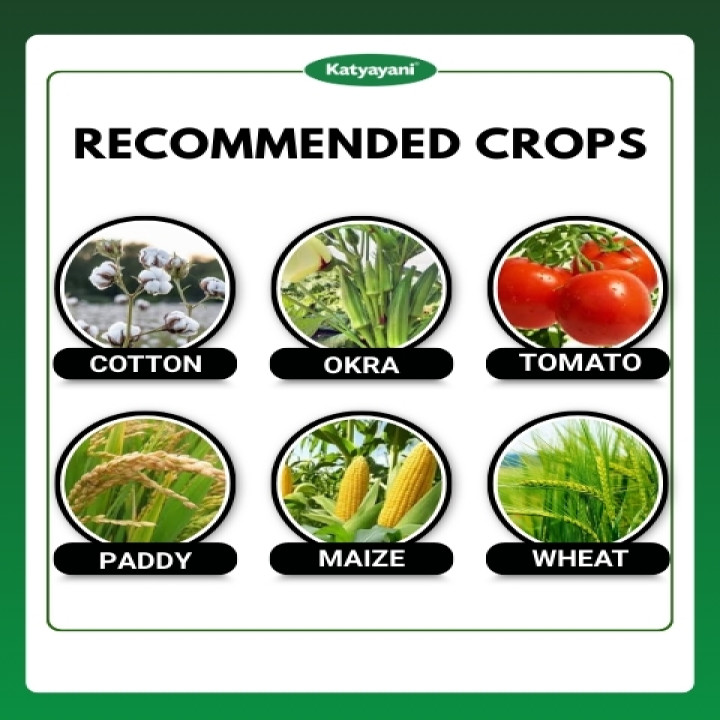 Katyayani Thioxam Super Plus Insecticide – thumb