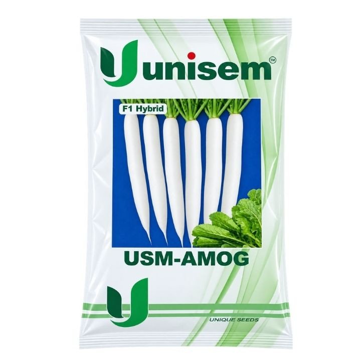 Unisem USM-Amog F1 Hybrid Radish Seeds – Long White Mooli