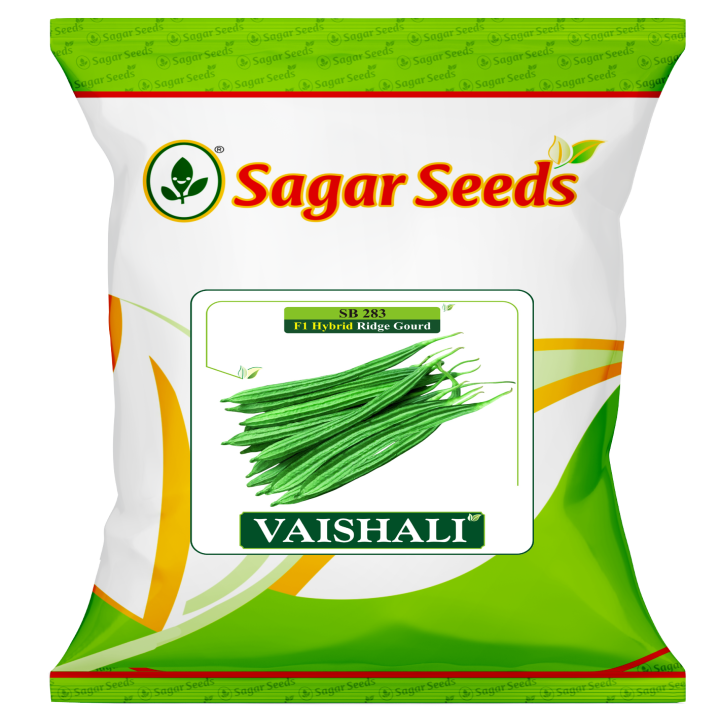 Sagar Vaishali Ridge Gourd Seeds