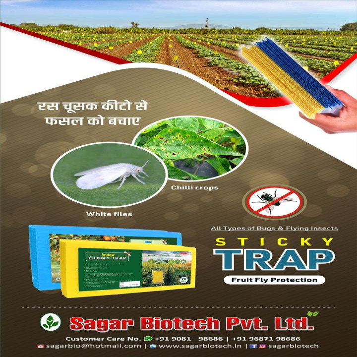 Sagar Sticky Trap (20PCS)