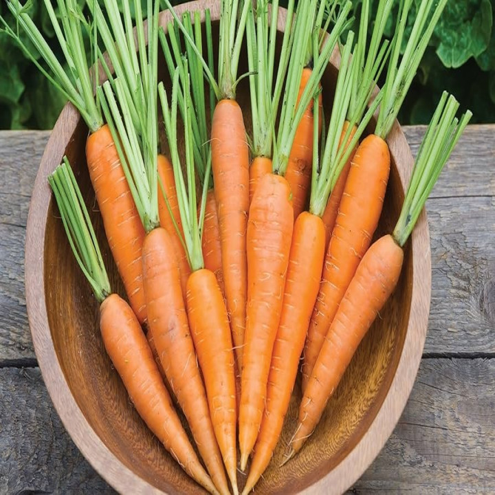 Sagar Kuroda F1 Hybrid Carrot Seeds – thumb