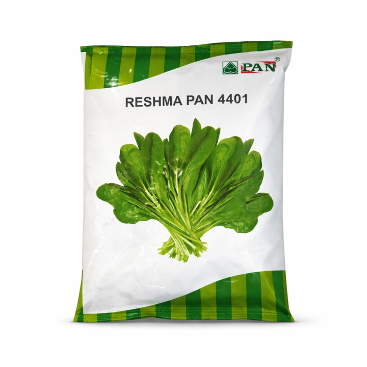 Reshma Pan 4401 Hybrid Spinach Seeds
