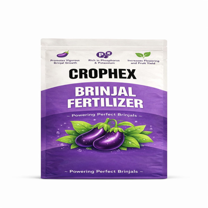 Crophex Brinjal Fertilizer for Vigorous Growth and Higher Yield