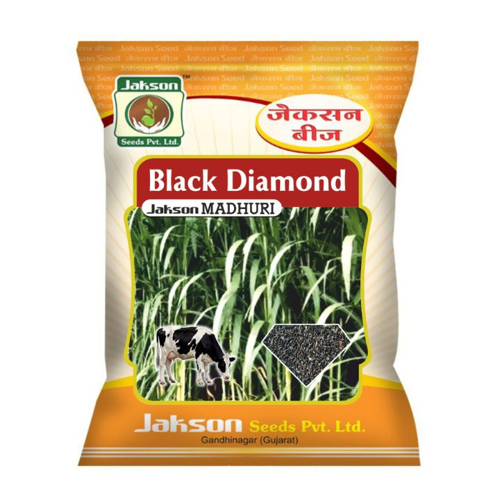 Jakson Black Diamond Madhuri Hybrid Fodder Sorghum Seeds