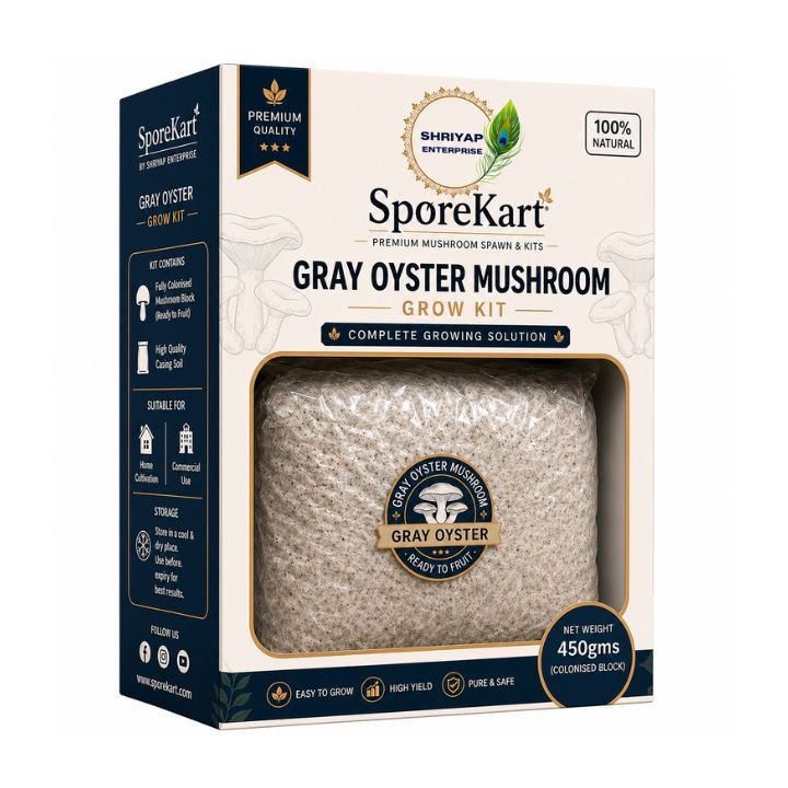 SporeKart Gray Oyster Mushroom Ready to Fruit Bag
