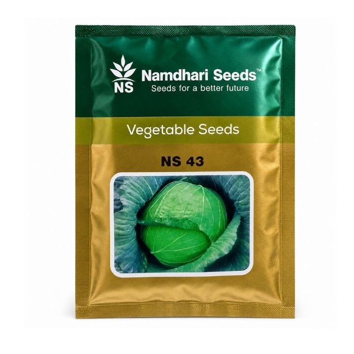 Namdhari NS 43 Cabbage Seeds