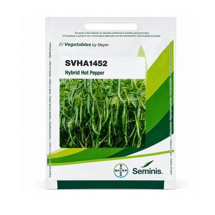 Seminis SVHA1452 F1 Hybrid Hot Pepper Seeds