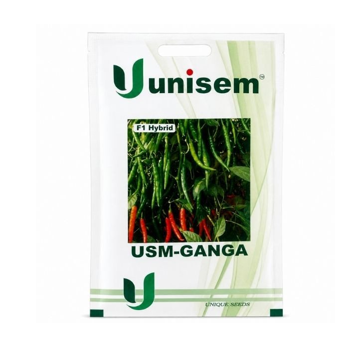 USM Ganga Red Chilli Seeds