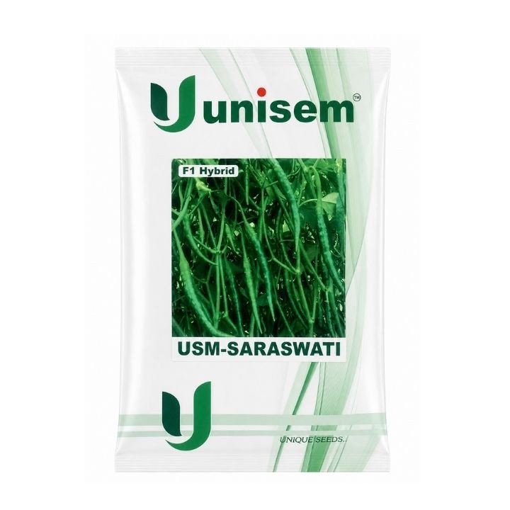Unisem USM-Saraswati F1 Hybrid Chilli Seeds