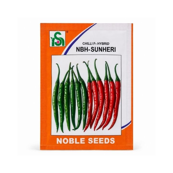 Noble Seeds NBH-Sunheri F1 Hybrid Chilli Seeds