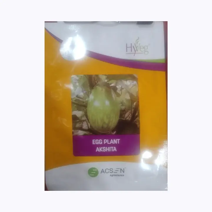 Acsen Hyveg Akshita Eggplant