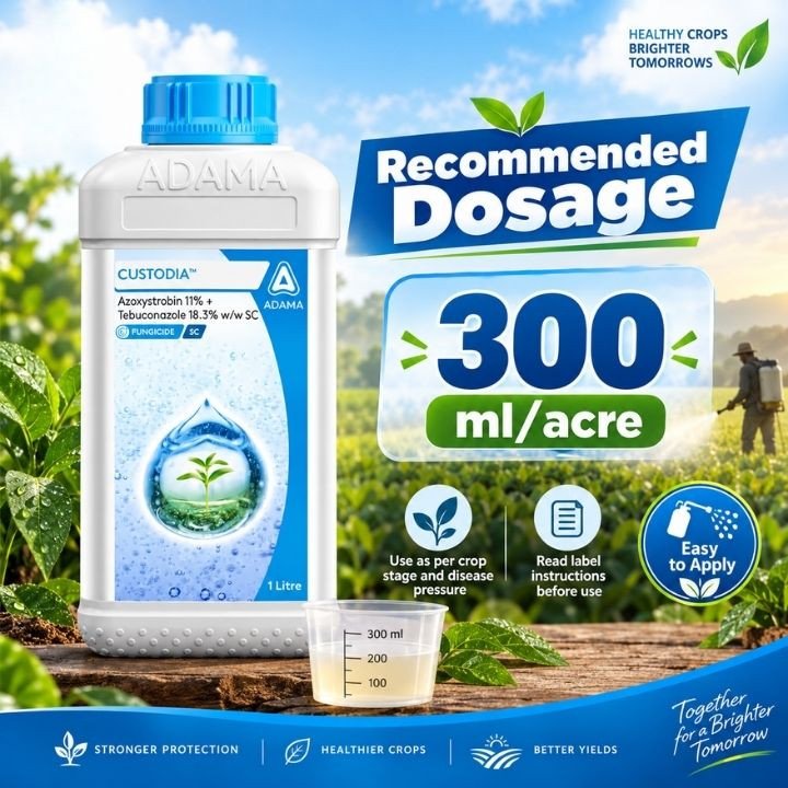 Adama Custodia Fungicide - Azoxystrobin 11% + Tebuconazole 18.3% w/w SC - image 4 of 5