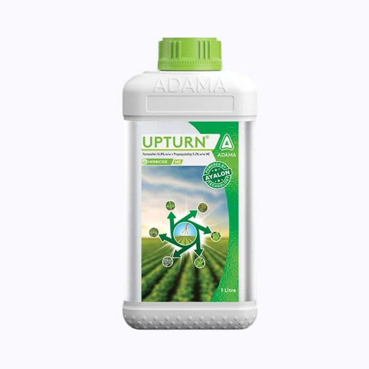 Adama Upturn Herbicide