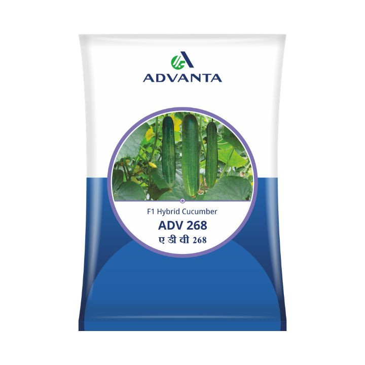Advanta F1 Hybrid ADV-268 Cucumber Seeds