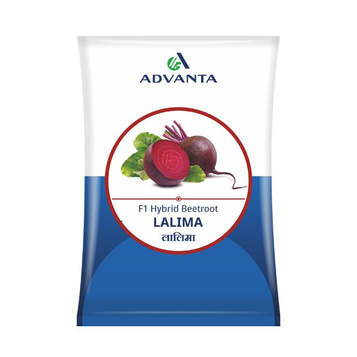 Advanta F1 Hybrid Lalima Beetroot Seeds