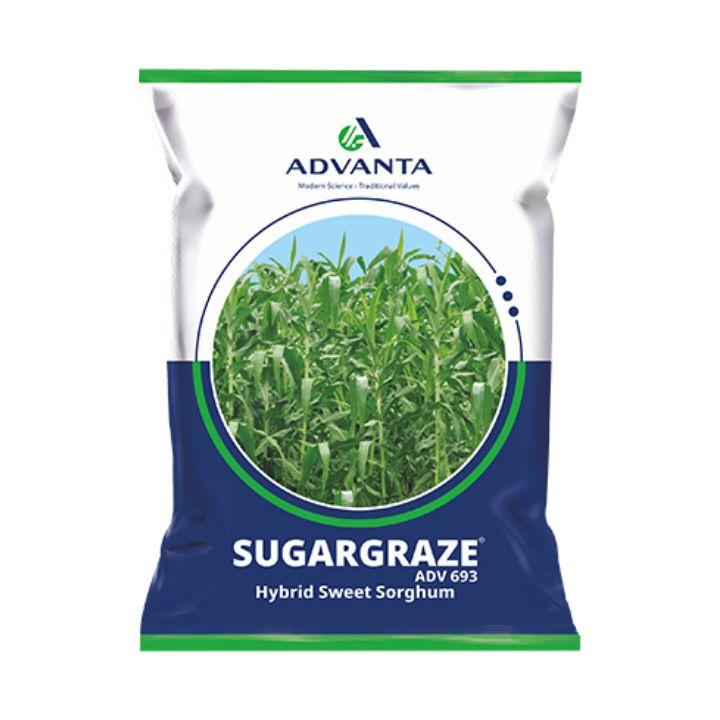 Advanta Sugargraze ADV 693 Sorghum Seeds
