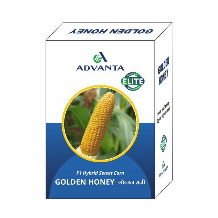 Advanta Golden Honey Sweet Corn Seed