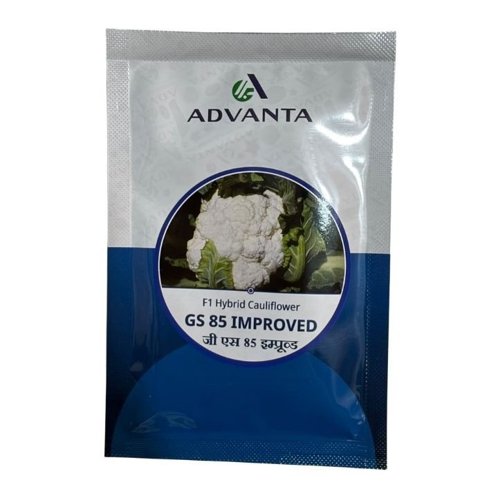 Advanta GS 85 Cauliflower Seeds - Phool Gobhi Seeds