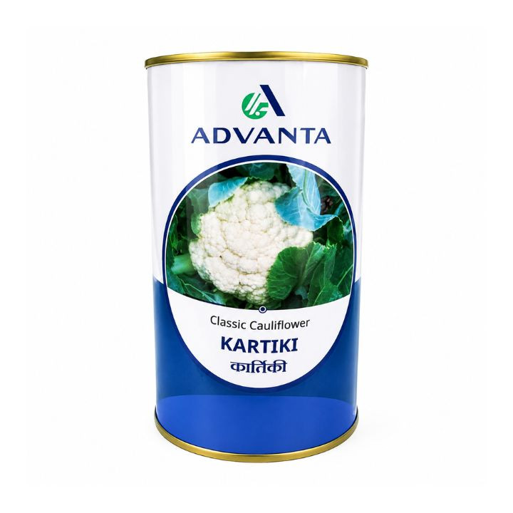Advanta Kartiki Hybrid F1 Classic Cauliflower Seeds