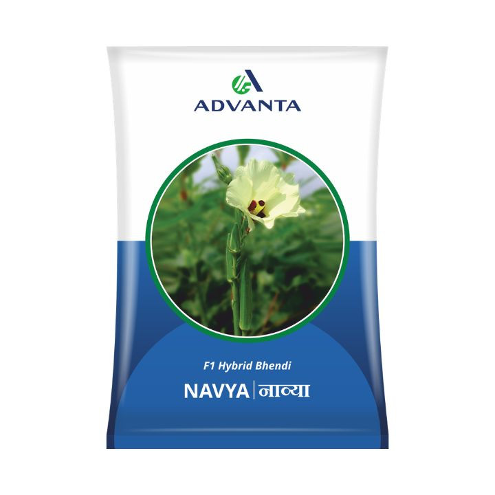 Advanta Navya Okra Seeds – Bhindi Seeds