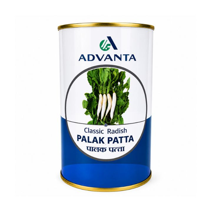 Advanta Palak Patta Hybrid Classic Radish Seeds
