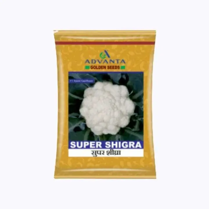 Advanta Super Shigra Cauliflower Seeds - 10 gm – main view