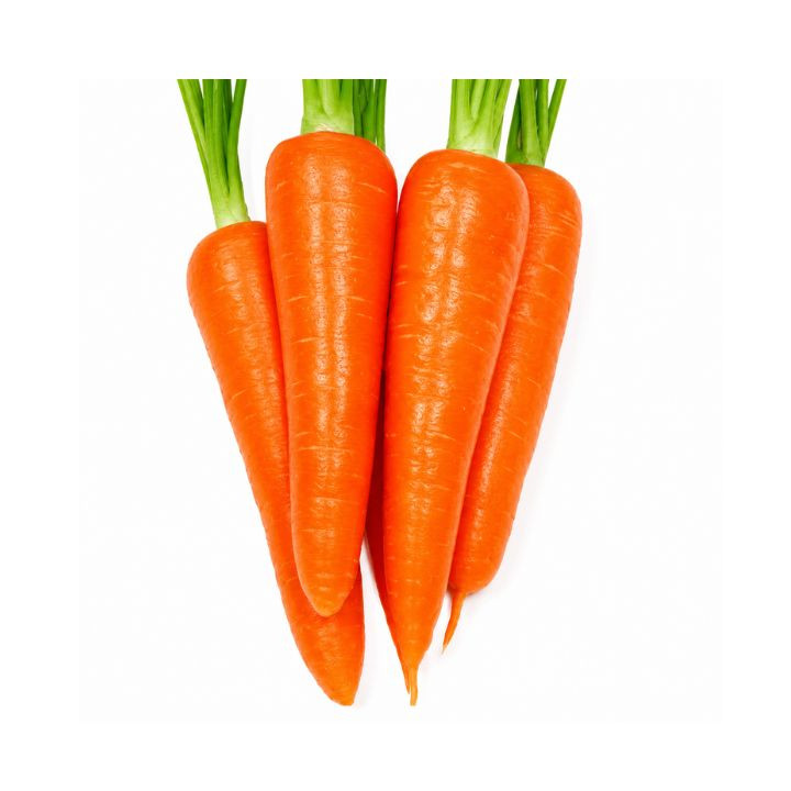 Agri Bazar Orange Long Carrot Seeds – 300+ Seeds