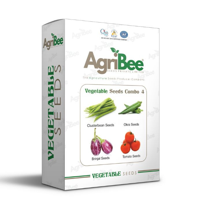 AgriBee Vegetable Combo 4 Seeds Pack