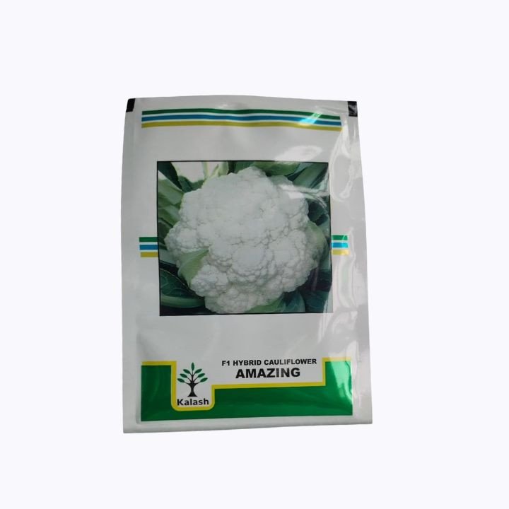 Kalash Amazing F1 Hybrid Cauliflower Seeds