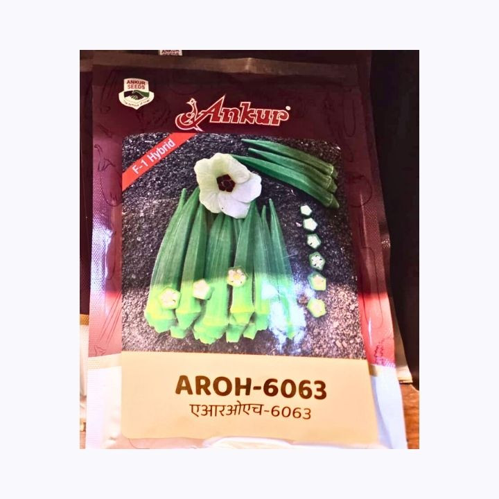 Ankur AROH-6063 F1 Hybrid Okra (Bhindi) Seeds