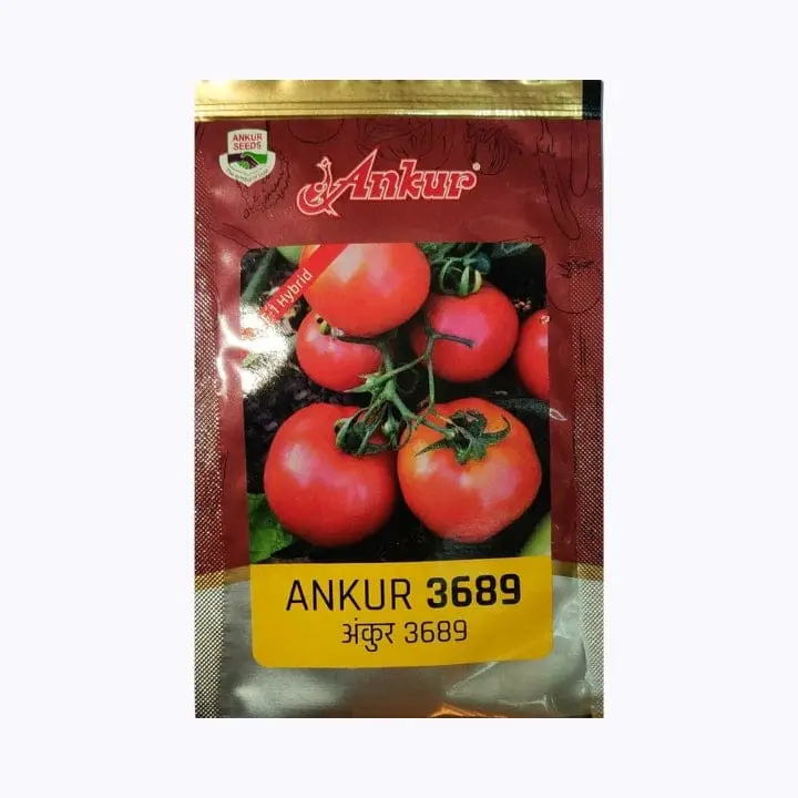 Ankur Arth-3689 Hy Tomato Seeds – main view