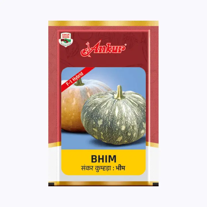 Ankur Bhim Pumpkin Seeds