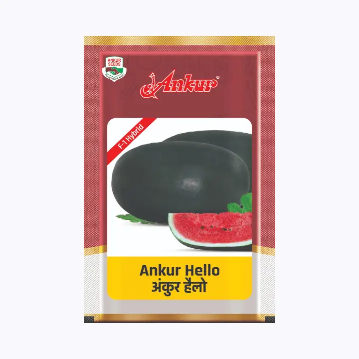 Ankur Hello Watermelon Seeds – main view