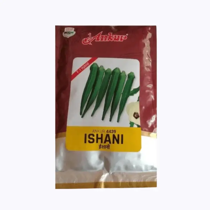 Ankur Ishani 4439 Bhendi Seeds