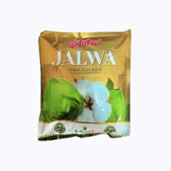 Ankur Jalwa BG Hybrid Cotton Seeds – main view